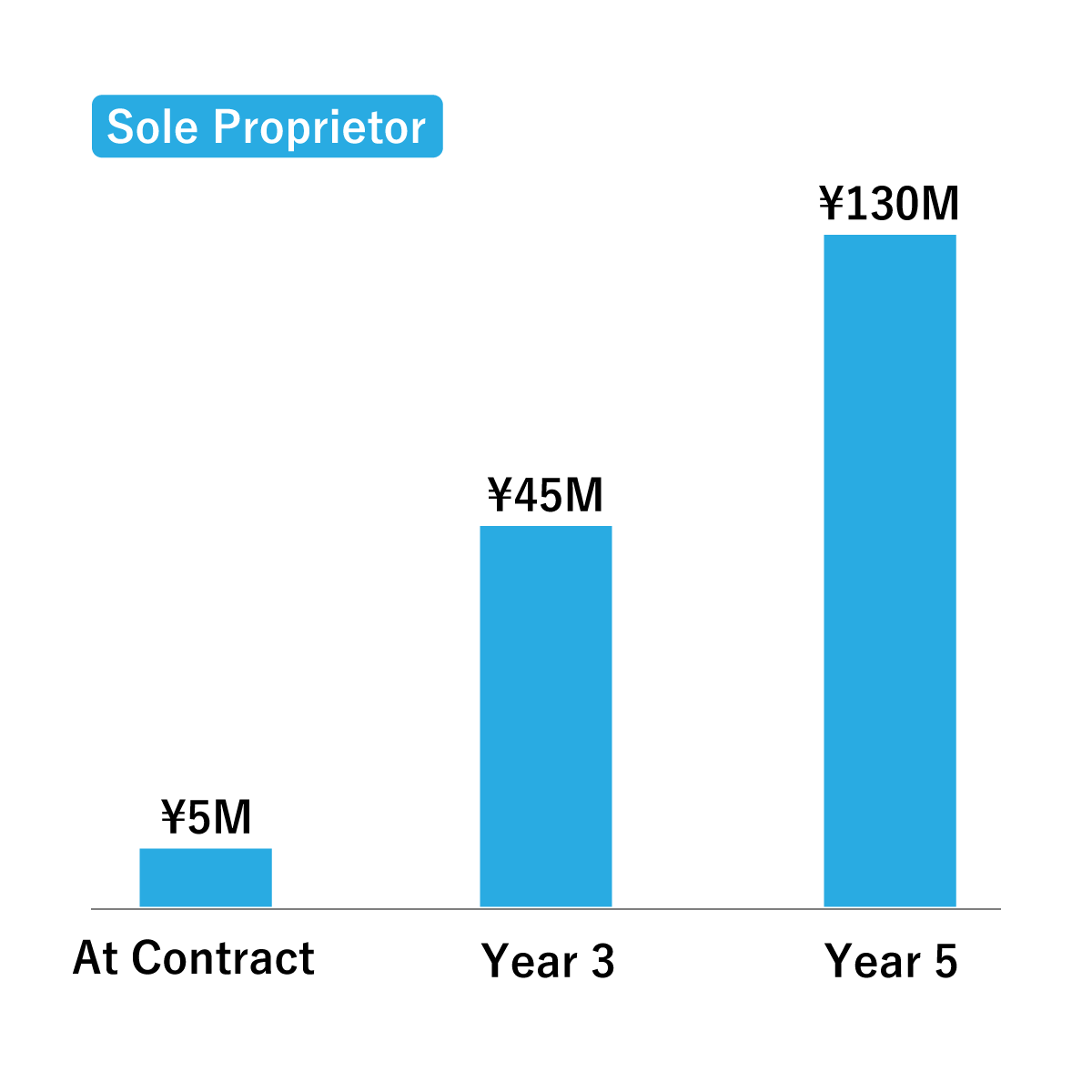 Sole proprietor